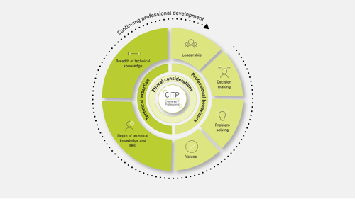 citp-professional-development-cycle-wheel